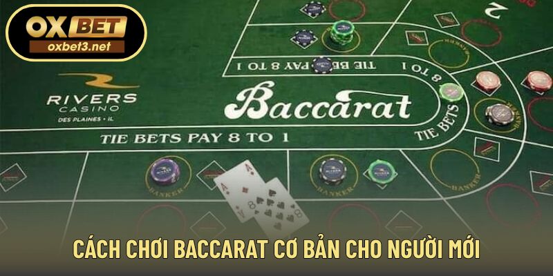 Hướng dẫn từng bước tham gia baccarat đúng quy trình