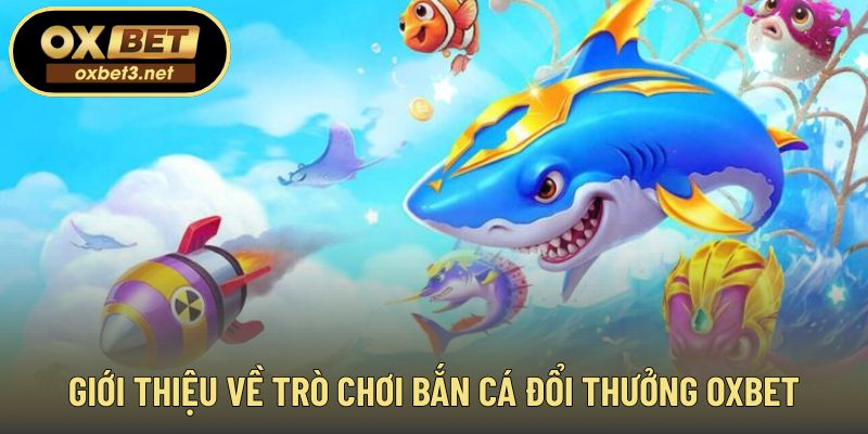 Khái quát tổng thể về trò chơi săn quà trực tuyến