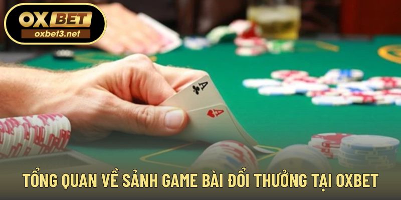 Không gian thi đấu kỹ năng tập trung và dễ tiếp cận